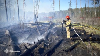 Пожежа на Чернігівщині: рятувальники виявили тіло жінки під час гасіння пожежі