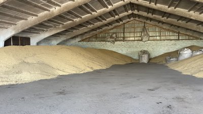 Урожай сої та кукурудзи: жнива на Полтавщині 2023-го року