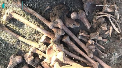 На Рівненщині шукач металобрухту виявив людські рештки На Рівненщині шукач металобрухту виявив людські рештки