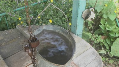 Дівчину, яку шукали три дні, знайшли у лисячій норі Дівчину, яку шукали три дні, знайшли у лисячій норі