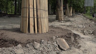 У Чернігові екоактивісти рятували дерева від будівельної техніки