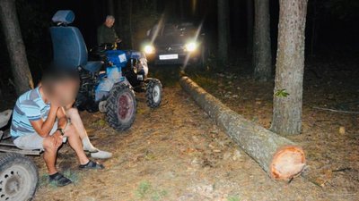 Працівники лісової охорони написали дві заяви до поліції на волинян, які зрубали дуба та чинили опір