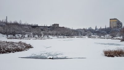На території біля озера "Кірпічка" в Ужгороді хочуть побудувати урбан-парк. Хто проти і чому