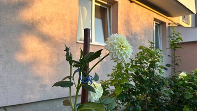 Якою буде погода на Закарпатті 9 серпня