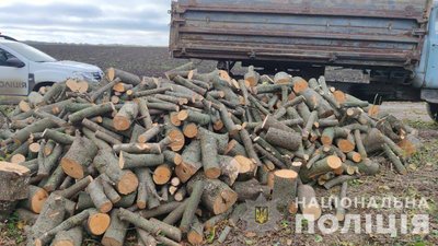 Поліцейський на Черкащині упіймав чоловіка, який незаконно вирубував дерева