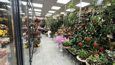 Грантова програма на Миколаївщині: покращення бізнесу та створення нових робочих місць Грантова програма на Миколаївщині: покращення бізнесу та створення нових робочих місць
