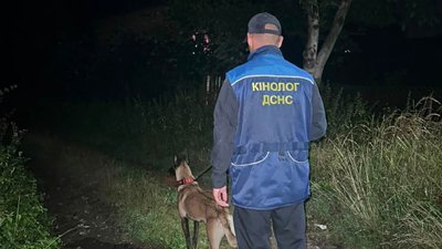 Пошукові роботи