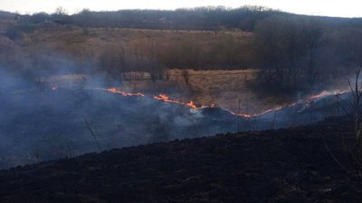 За добу на Черкащині згасили дев'ять пожеж сухої трави За добу на Черкащині згасили дев'ять пожеж сухої трави