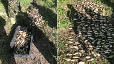 На Полтавщині чоловік виловив риби на понад 1 мільйон гривень