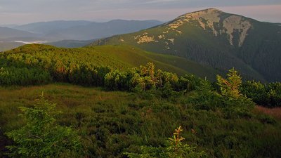 Заповідник «Грофа», Франківщина