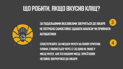 Хвороба Лайма: як діагностувати та лікувати Хвороба Лайма: як діагностувати та лікувати