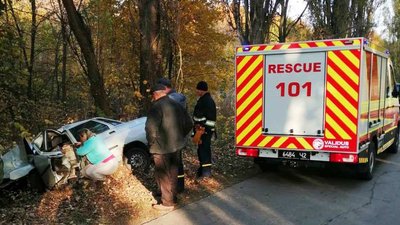 У Прилуцькому районі «ВАЗ» врізався у дерево: водій помер дорогою у лікарню