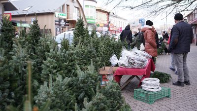 "Військовим роблять знижки". Де у Чернівцях купити ялинку: що продають та які ціни "Військовим роблять знижки". Де у Чернівцях купити ялинку: що продають та які ціни