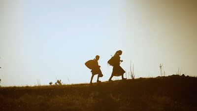 XVII Міжнародний фестиваль Docudays UA відбудеться в онлайн-форматі