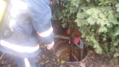 Прикарпатські рятувальники витягли з колодязя собаку Прикарпатські рятувальники витягли з колодязя собаку