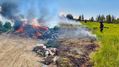 Пожежі на Чернігівщині: з початку року зареєстрували понад 700 пожеж в екосистемах