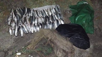 Збитків на 46 тис гривень: на озері Сиваш на Херсонщині прикордонники затримали рибака