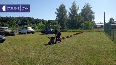 На Сумщині атестують собак із кінологічних підрозділів України На Сумщині атестують собак із кінологічних підрозділів України