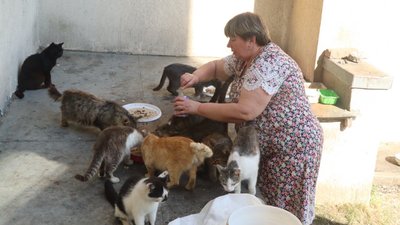 На Сумщині в Охтирці отримали гуманітарну допомогу для безпритульних тварин На Сумщині в Охтирці отримали гуманітарну допомогу для безпритульних тварин