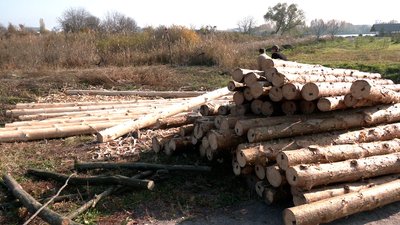 Захисна брама і довбанка: на рівненській "Оствиці" будують нові об'єкти Захисна брама і довбанка: на рівненській "Оствиці" будують нові об'єкти
