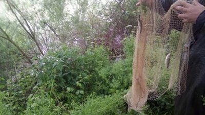 Понад 10 тисяч гривень збитків за нарахував Франківський рибпатруль Понад 10 тисяч гривень збитків за нарахував Франківський рибпатруль