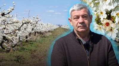 Сергій Кравцов
