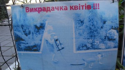 Квітковий крадій – у рівненському СІЗО. Історії подібних злочинів в Україні і світі Квітковий крадій – у рівненському СІЗО. Історії подібних злочинів в Україні і світі