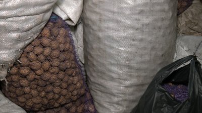Понад мільйон енергетичних пакунків для військових виготовили пенсіонерки з Волині Понад мільйон енергетичних пакунків для військових виготовили пенсіонерки з Волині
