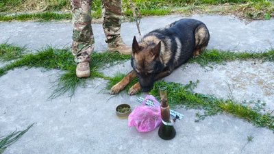 Затримання відбулось за участі кінолога із службовим собакою
