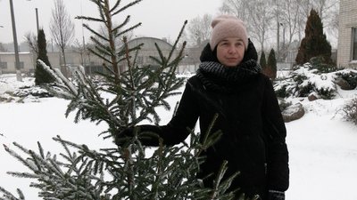 У Чернігові почали продавати ялинки та сосни У Чернігові почали продавати ялинки та сосни