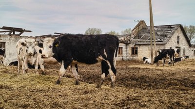 Житомир, Рихальське, держпідприємство, Тиждень Житомир, 16 квітня 2026 року