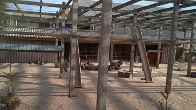 Планують розводити благородних оленів — як утримуються тварини в лісових господарствах Сумщини Планують розводити благородних оленів — як утримуються тварини в лісових господарствах Сумщини