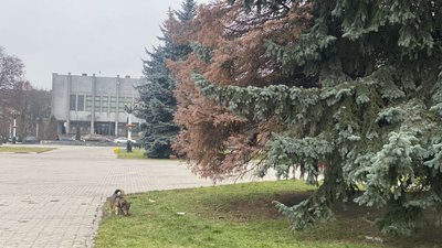 Майдан Незалежності в обласному центрі