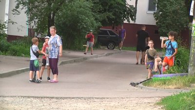 У Житомирі розростається борщівник
