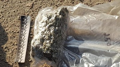 Мешканець Запоріжжя замовив поштою елітну коноплю, його викрила поліція Мешканець Запоріжжя замовив поштою елітну коноплю, його викрила поліція