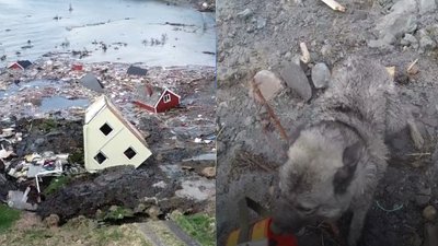 У Норвегії зсув ґрунту змив у море частину селища і собаку