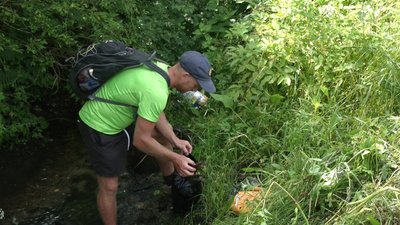 Джерело в урочищі Борисівка Джерело в урочищі Борисівка