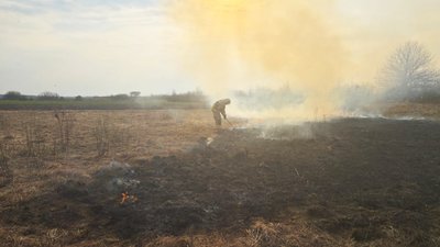 За добу на Волині ліквідували 10 пожеж в екосистемах: горіло понад 5 гектарів За добу на Волині ліквідували 10 пожеж в екосистемах: горіло понад 5 гектарів