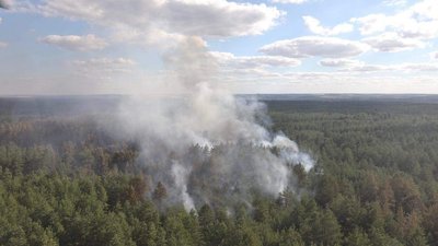 Пожежу на Луганщині локалізували, рятувальники гасять три осередки тління