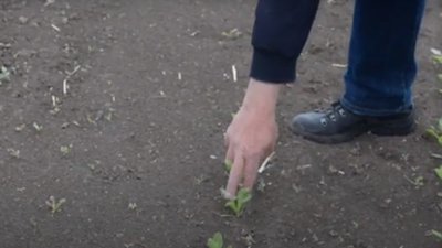 На Тернопільщині пилова буря завдала збитків агрофірмі - 1,5 мільйона гривень