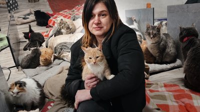 Притулок для котів: як зооволонтери рятують тварин від холоду на Рівненщині