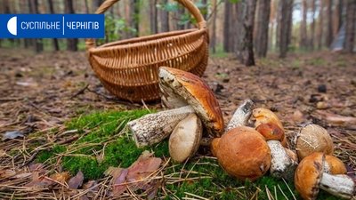 Правоохоронці знайшли брата й сестру, які заблукали під час збору грибів на Корюківщині