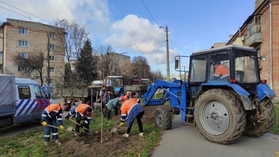 Від початку місяця у Полтаві висадили майже шість десятків дерев Від початку місяця у Полтаві висадили майже шість десятків дерев