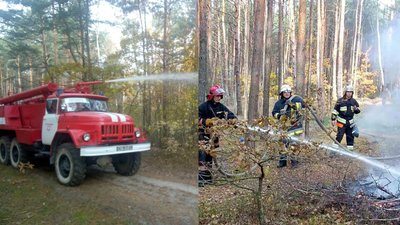Рятувальники і лісівники на Волині тренувалися гасити лісову пожежу Рятувальники і лісівники на Волині тренувалися гасити лісову пожежу