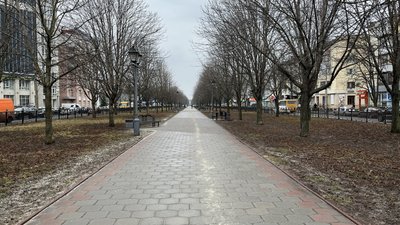 Каштанова алея Полтава Каштанова алея Полтава