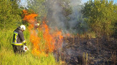 Під час спалювання сміття на Закарпатті травмувався чоловік