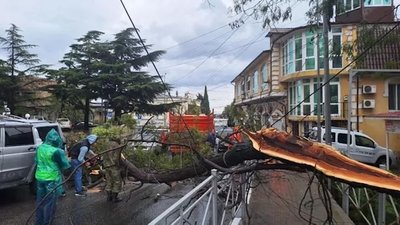 шторм, Ялта, негода, крим, повалене дерево