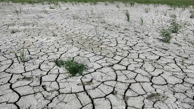 Запоріжцям пропонують поділитися спогадами про екоцид армії РФ в області