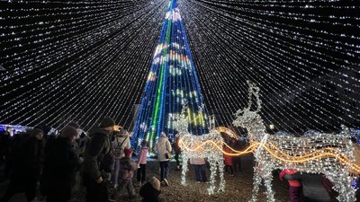 Новорічна ялинка у Полтаві