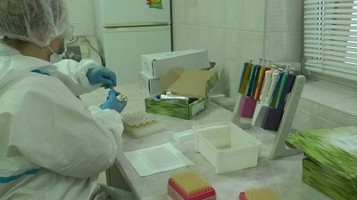 Ужгородські вчителі, які працюватимуть на ЗНО, проходять ІФА-тестування